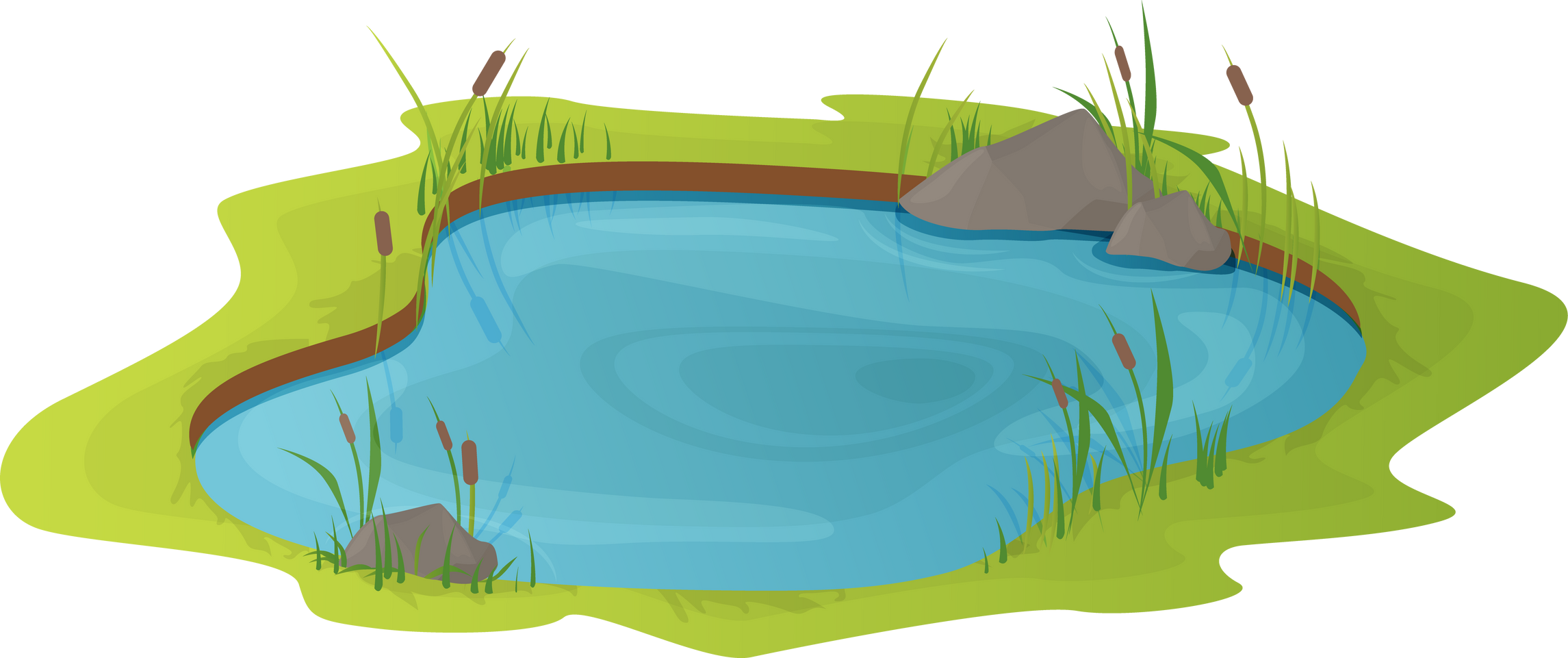 pond lake cartoon